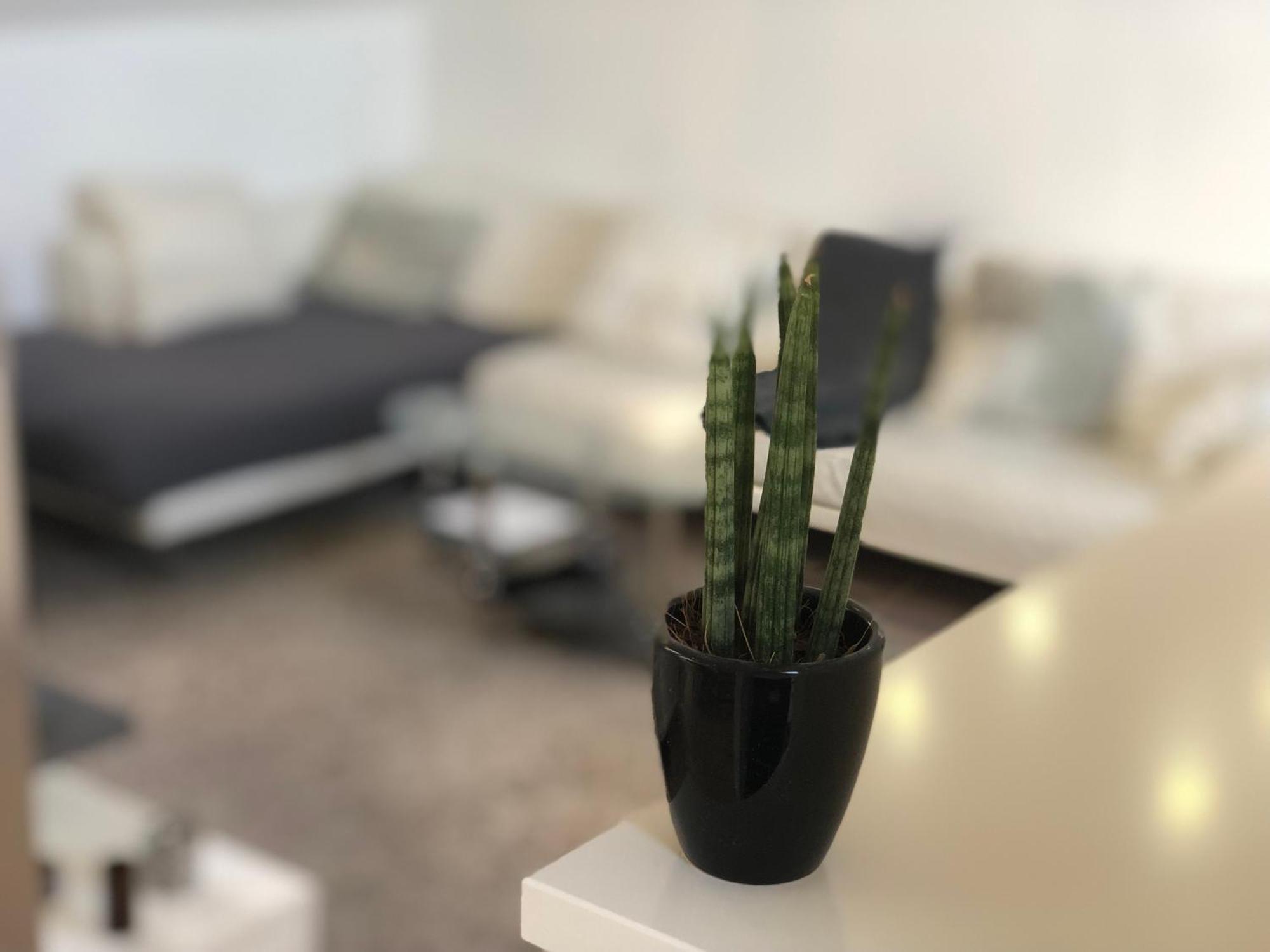 Caleva'S Bnb Pforzheim Eksteriør bilde