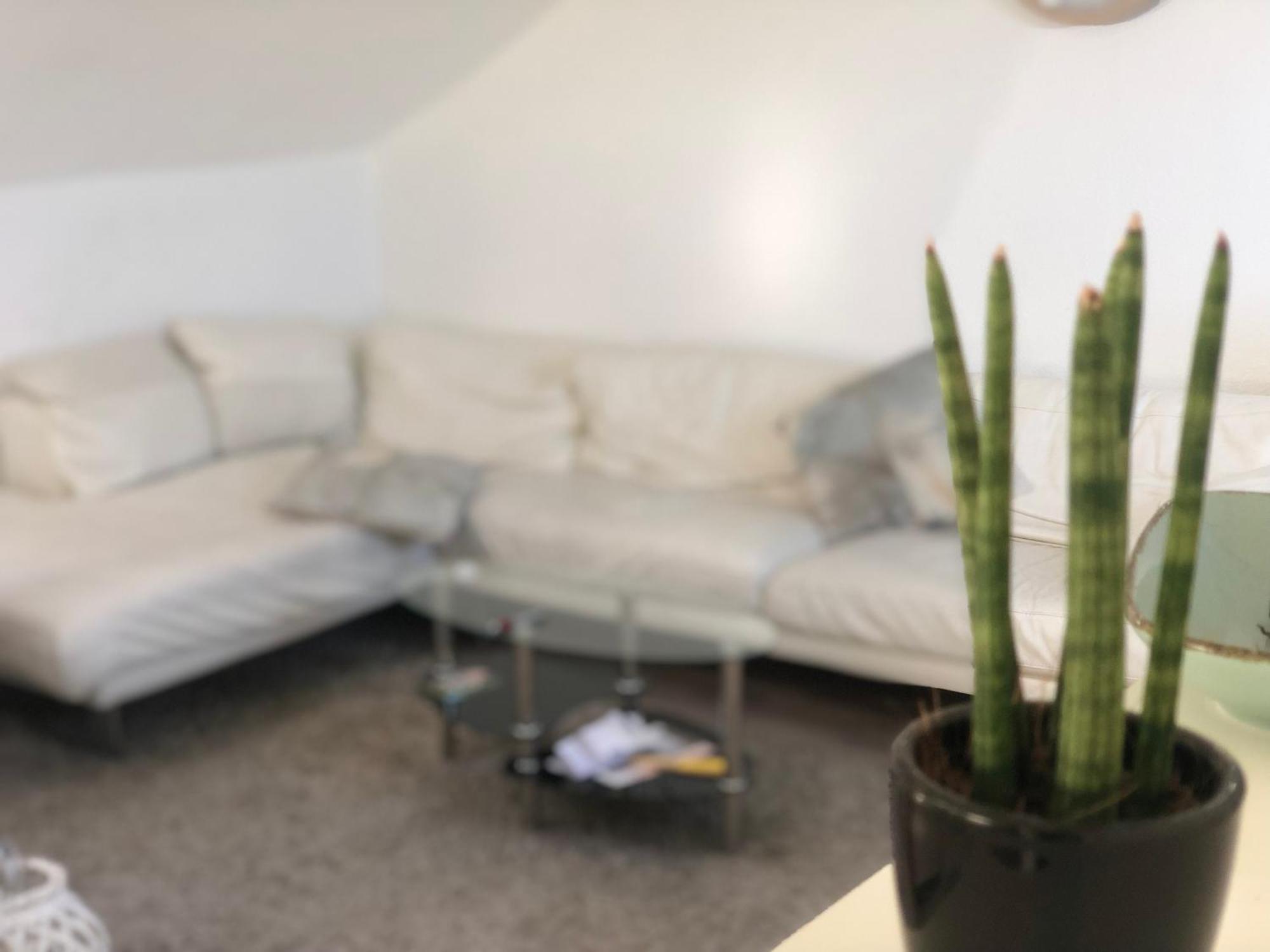 Caleva'S Bnb Pforzheim Eksteriør bilde